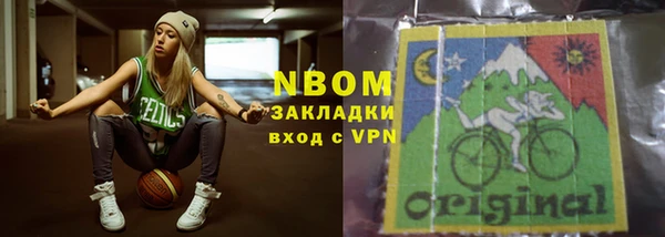 стаф Бородино