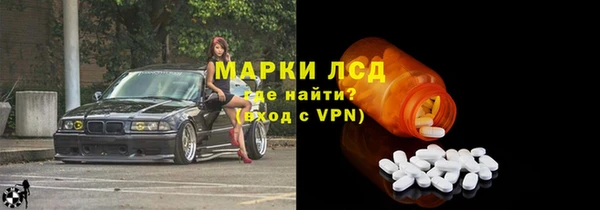 стаф Бородино