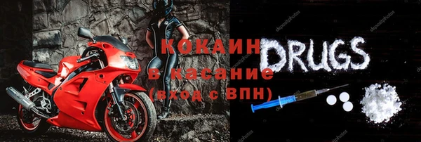 стаф Бородино
